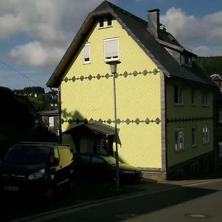 Well-kept In Steinach With Barbecue Apartment *