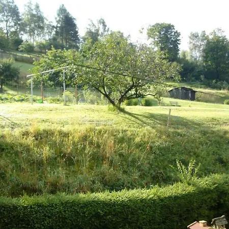 Well-kept In Steinach With Barbecue