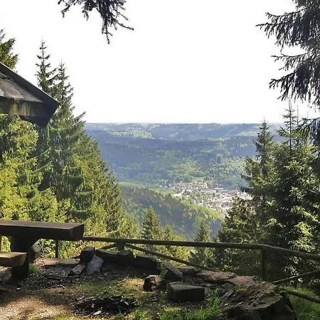 Well-kept In Steinach With Barbecue